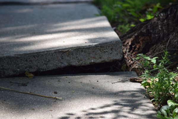 Cost of Concrete Slab Leveling in Lake Mary