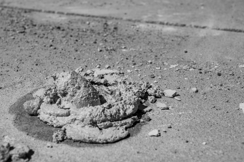 Concrete Leveling in Spring